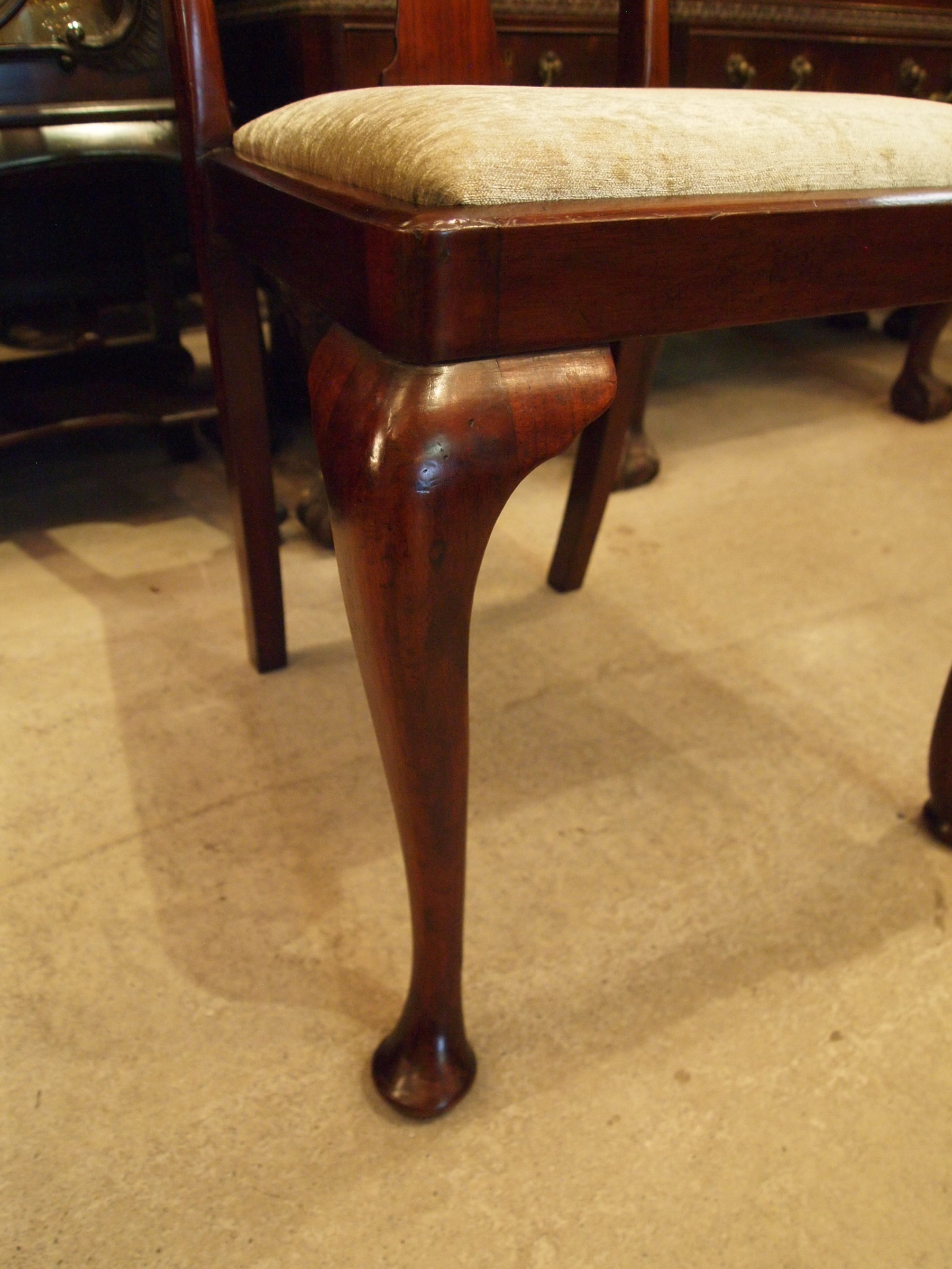 dining190601_14.JPG