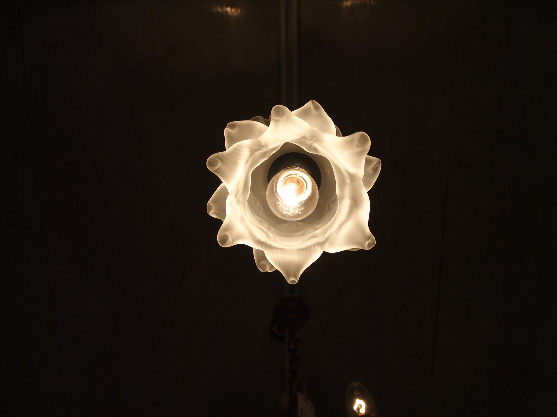 lamp190628_03.JPG